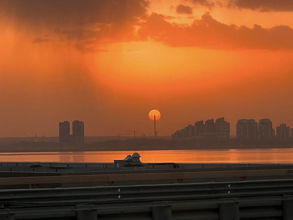 Photograph by Elvira