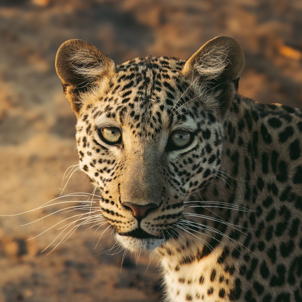 Photograph by Juan Álvarez