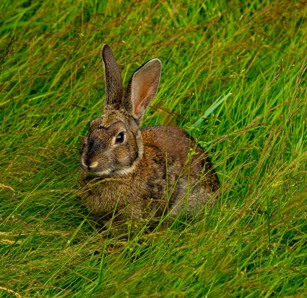 Photograph by Ekaterina Narozhnova
