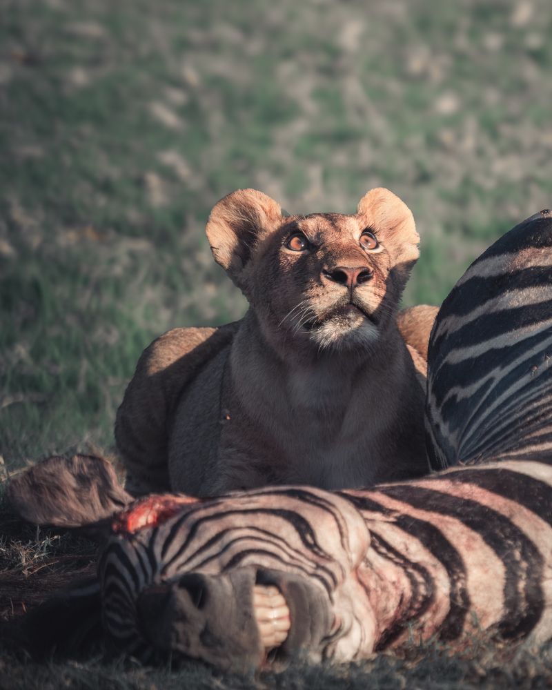 Photograph by Juan Álvarez