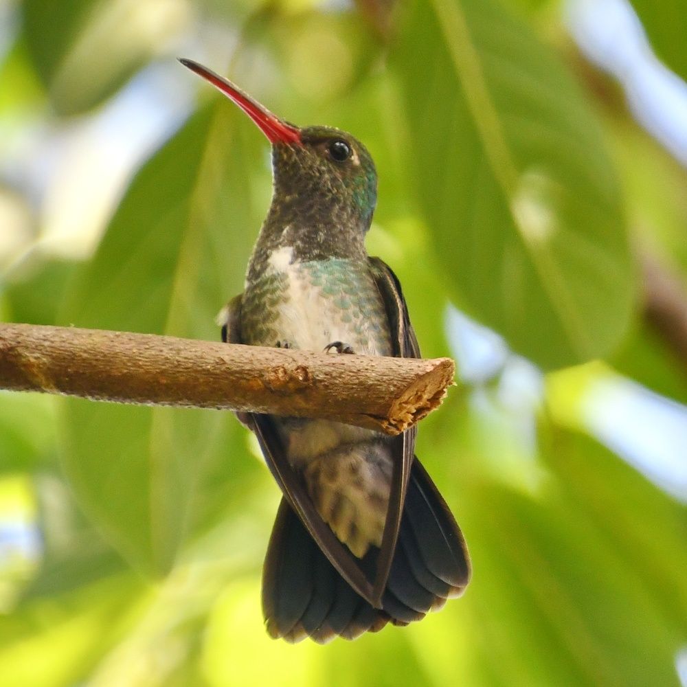 Photograph by Marzio Fattorini