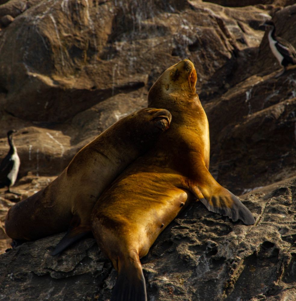 Photograph by Ekaterina Narozhnova