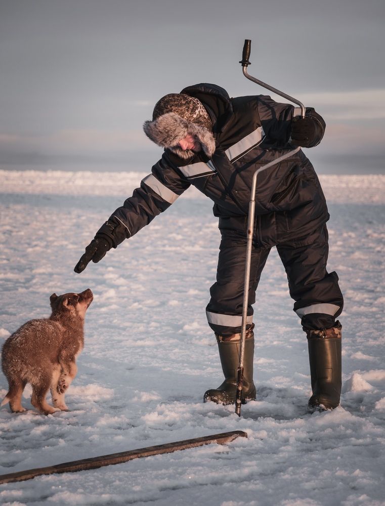 Photograph by Александр Фанталов