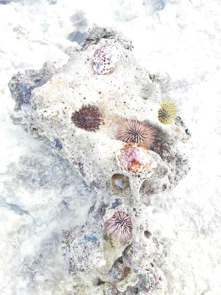 Фотография автора Mary Ann Masgad