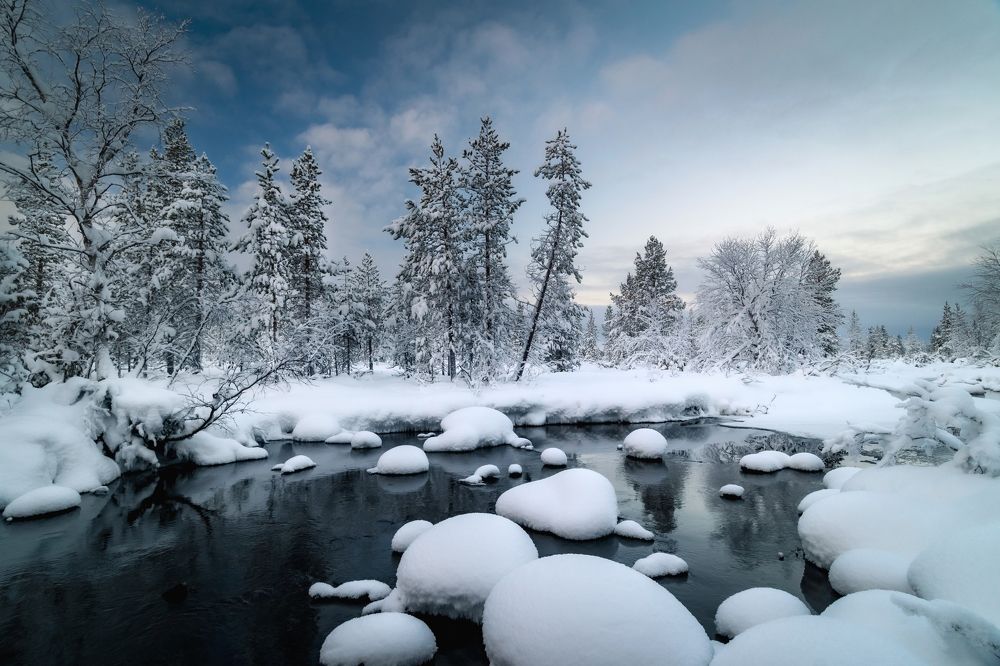 Photograph by Tatiana Meshcheryakova