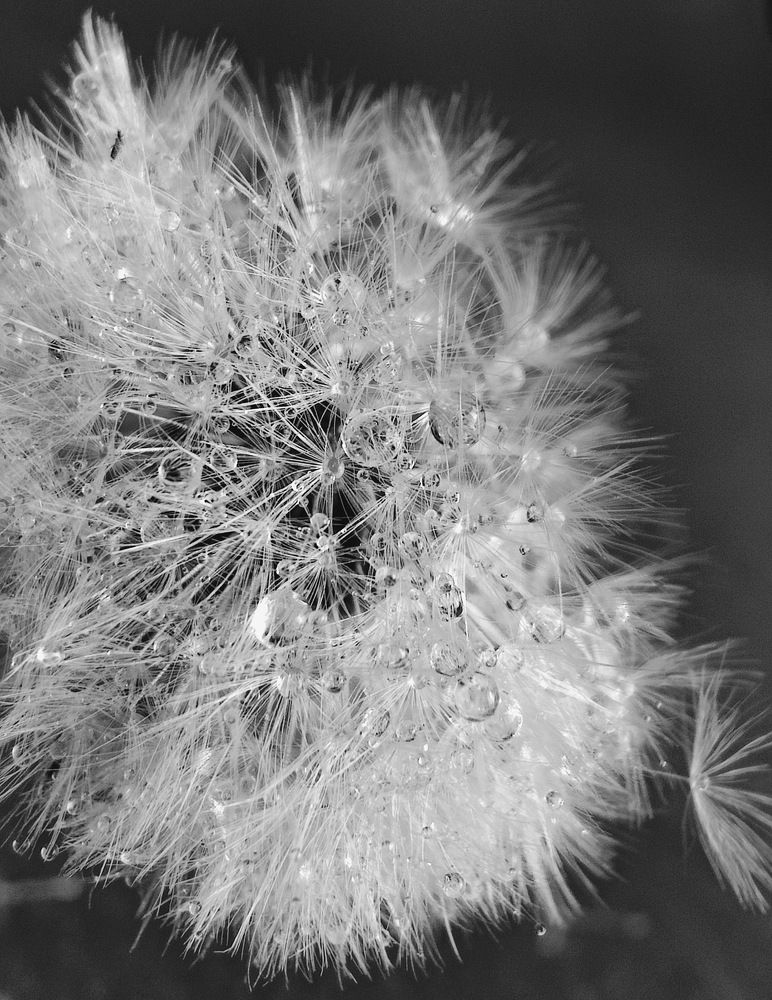 Photograph by Татьяна Гулакова