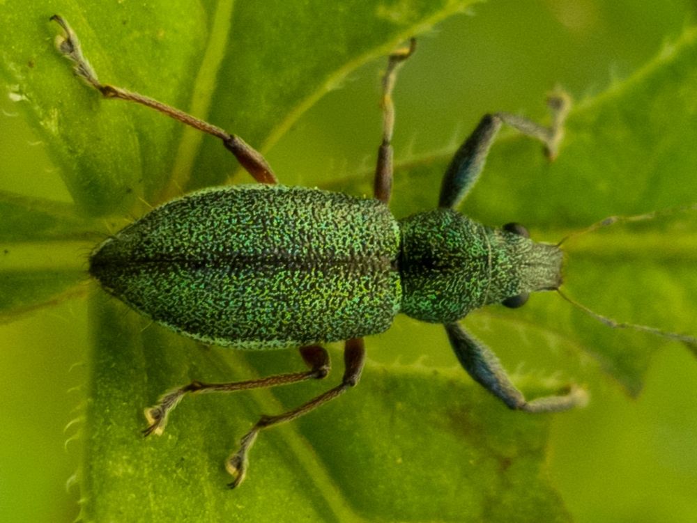 Photograph by adriana menez