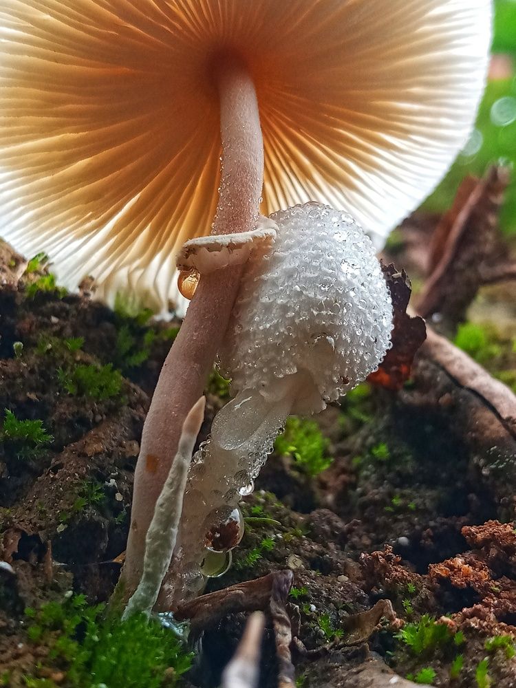 Photograph by kalaichelvam suganya