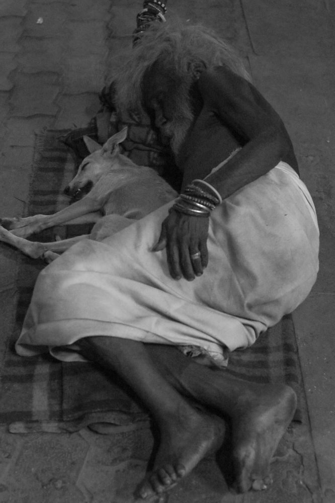 Photograph by Neil Rudrajeet Mukherjee