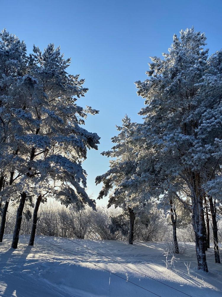 Зимняя сказка