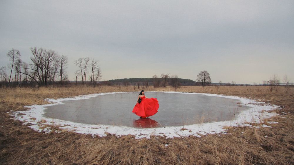 Северный мак