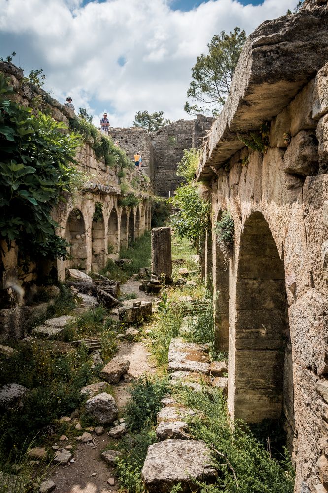 Photograph by Юлия Подлеснова