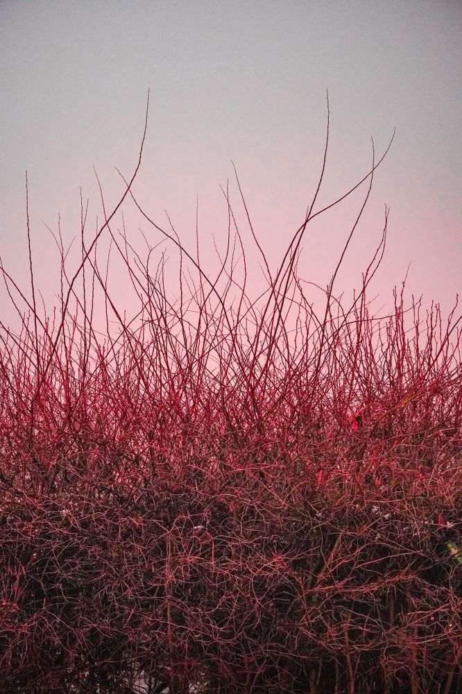 Photograph by Александр Кочергин