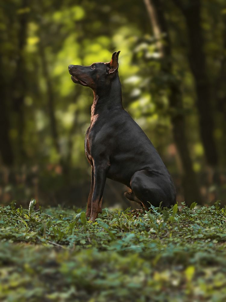 Photograph by Варвара Торокина