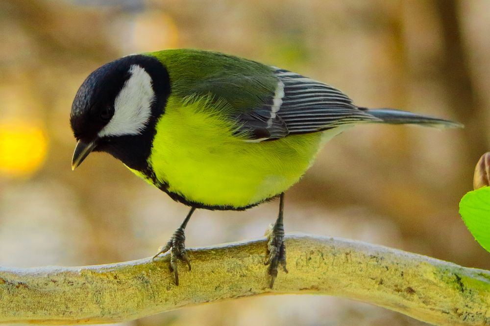 Photograph by Elena Dementova