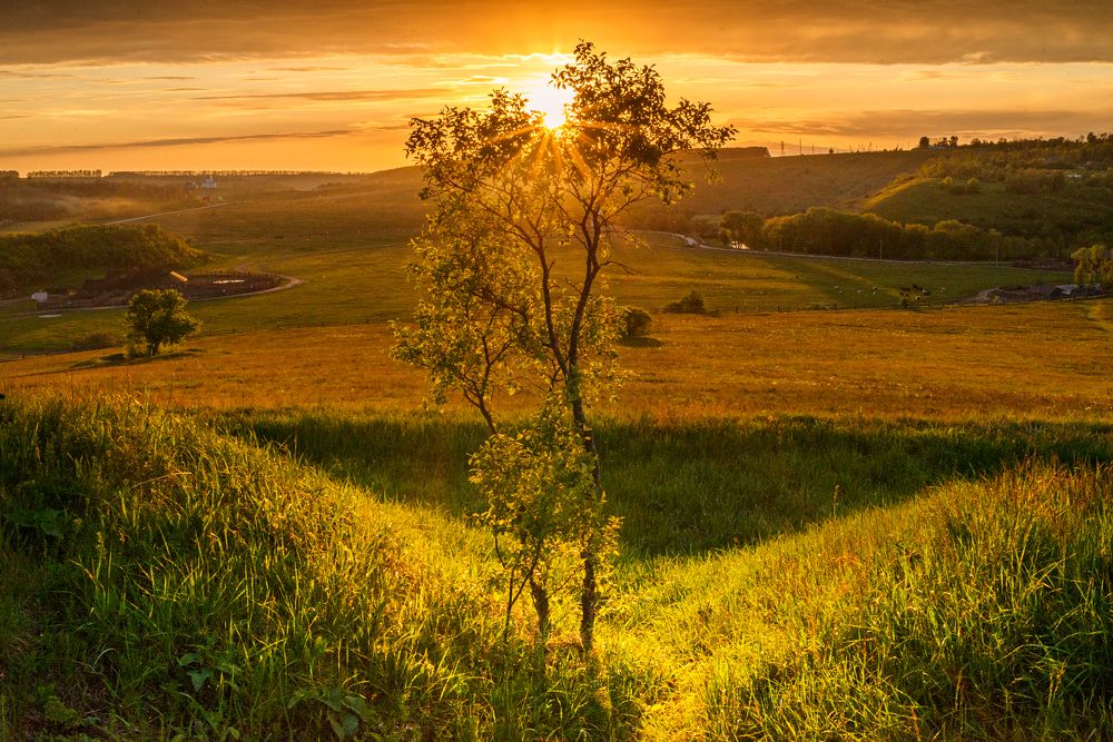 Photograph by Кирилл Аксенов