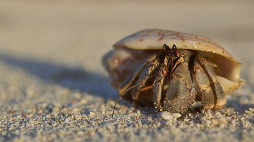 Photograph by Andrey