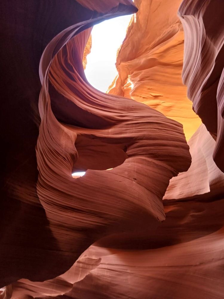 Фотография автора Rushita Shah