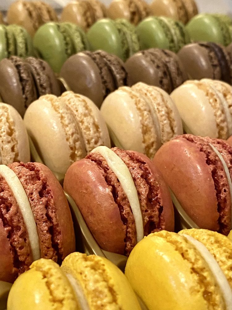 Фотография автора Бакалова Ирина