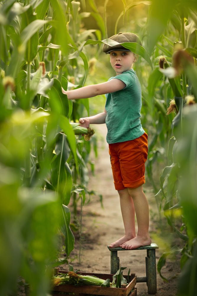 Photograph by Анна Фурса