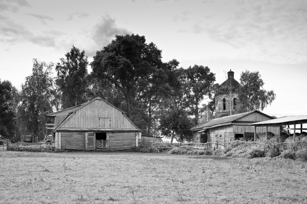 Photograph by Svetlana