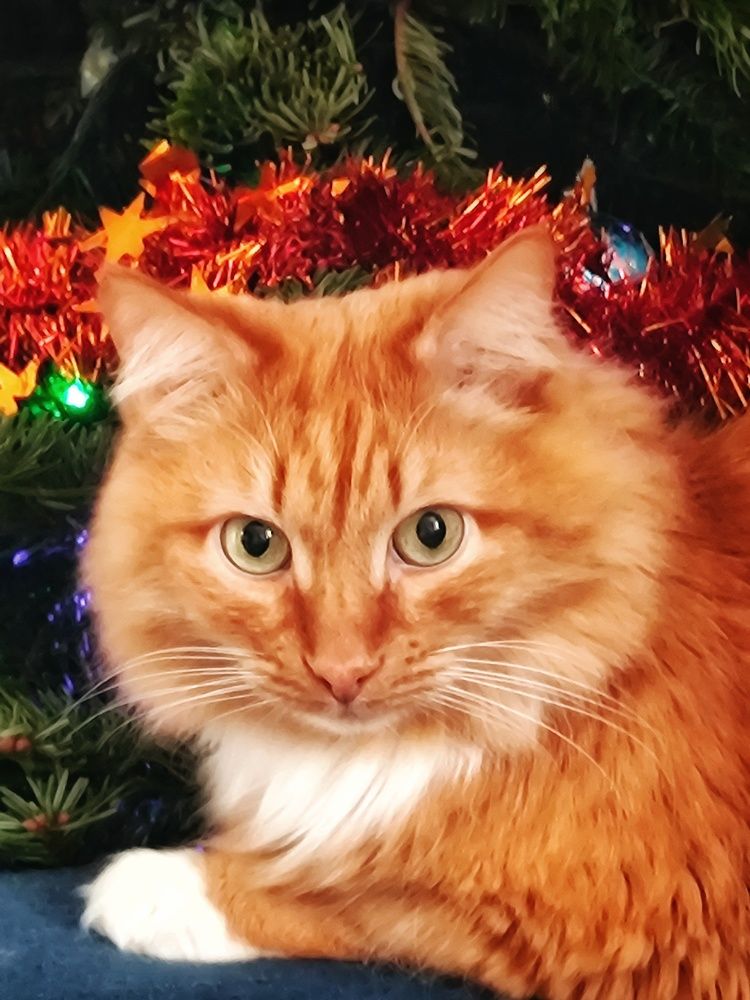 Photograph by Ольга Дерябина