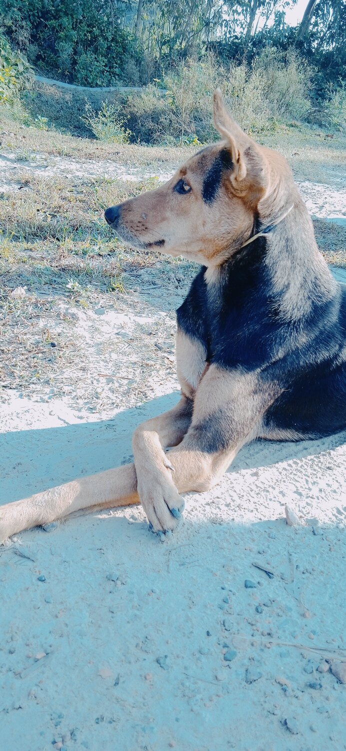 Photo #10228146