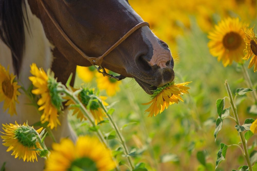 Photograph by Варвара Торокина