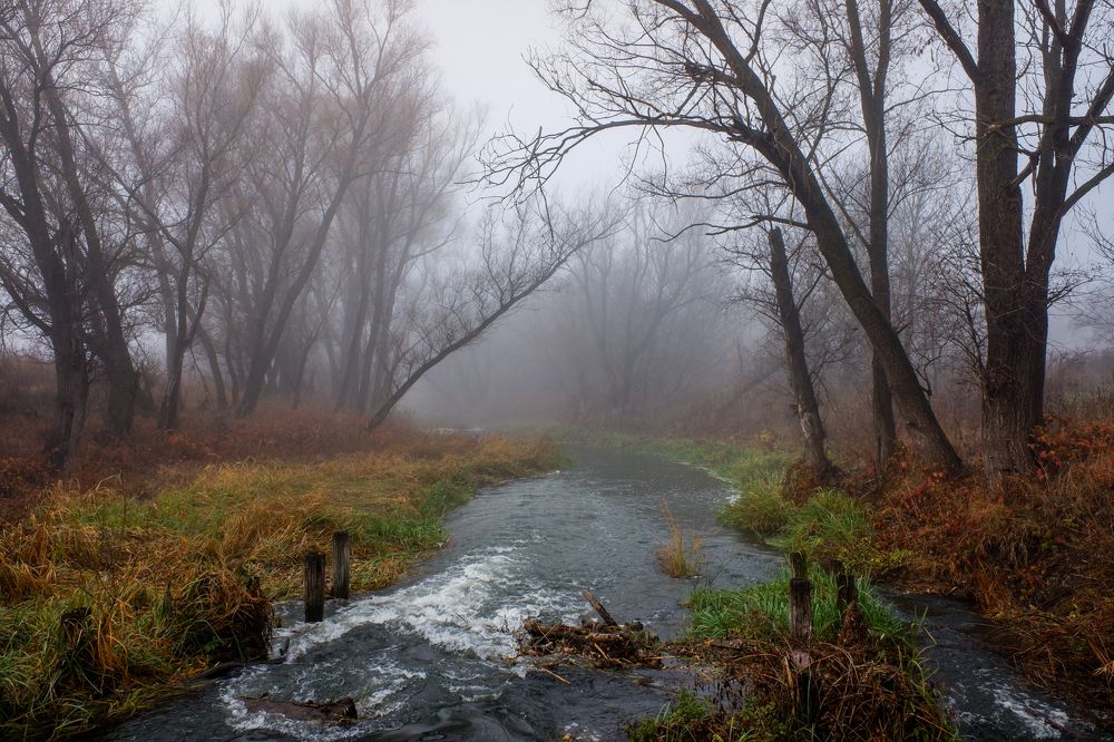 Photograph by Сергей Конюшенко