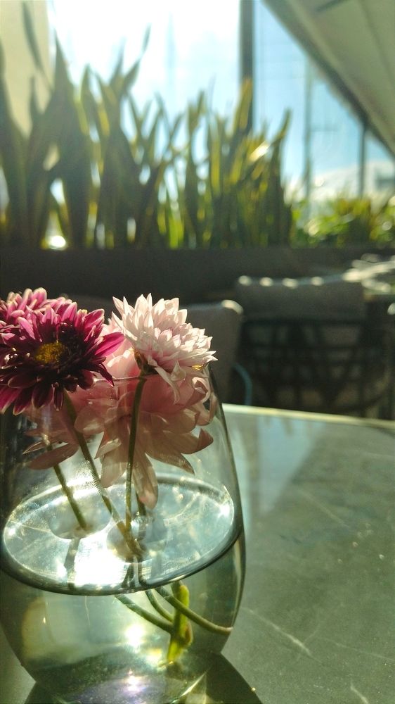 Photograph by Soha mamabdollah