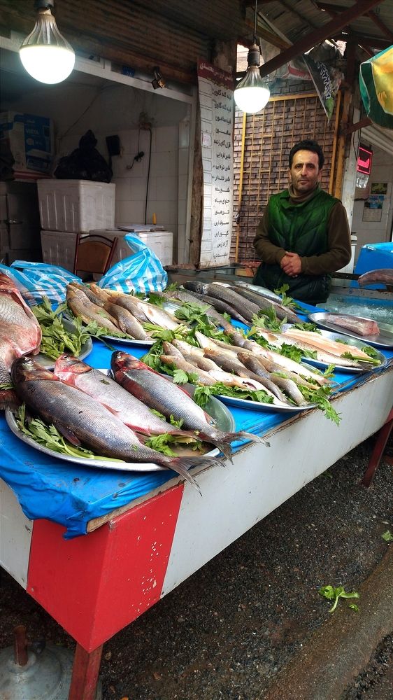 Photo #10228203