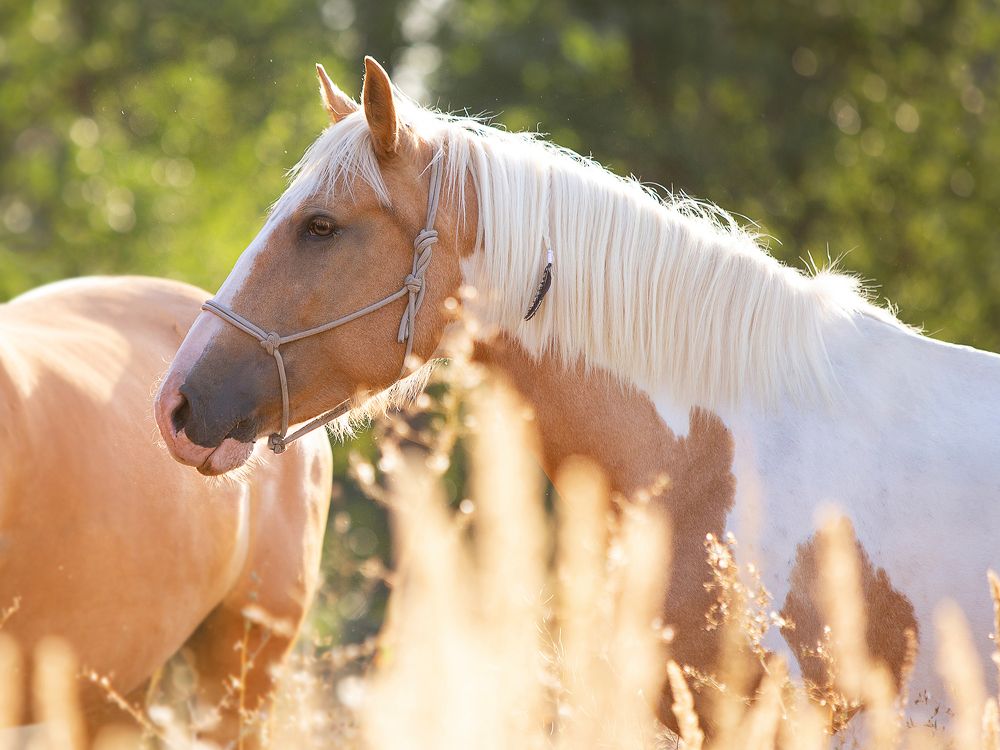Photograph by Варвара Торокина
