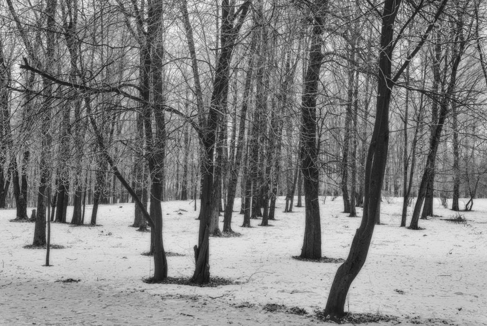 Photograph by Cергей Черныш