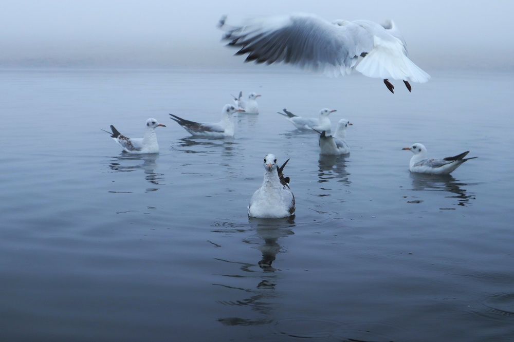 Фотография автора sachin gaurav