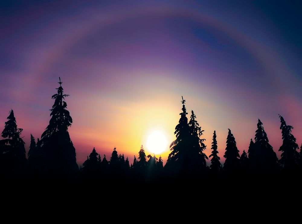 Photograph by Светлана Хамидулина