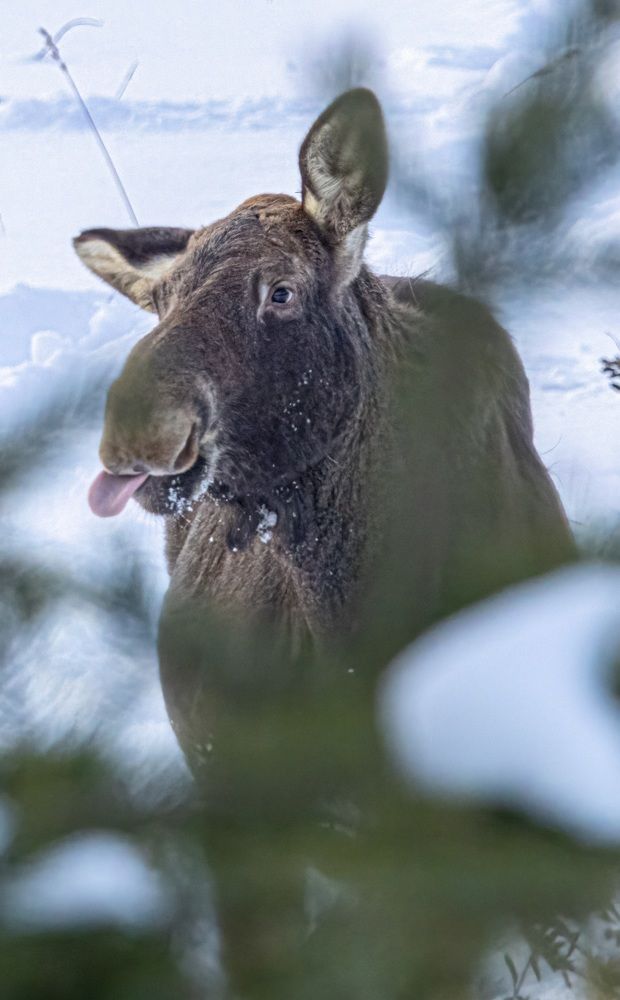 Photograph by Сергей