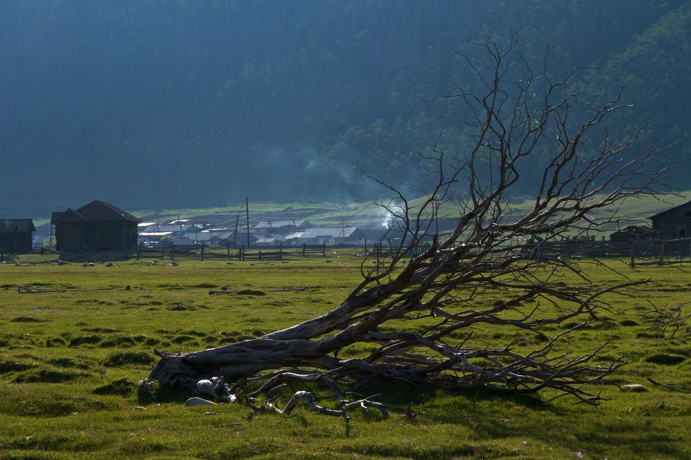 Photograph by Алёна Гильмуллина