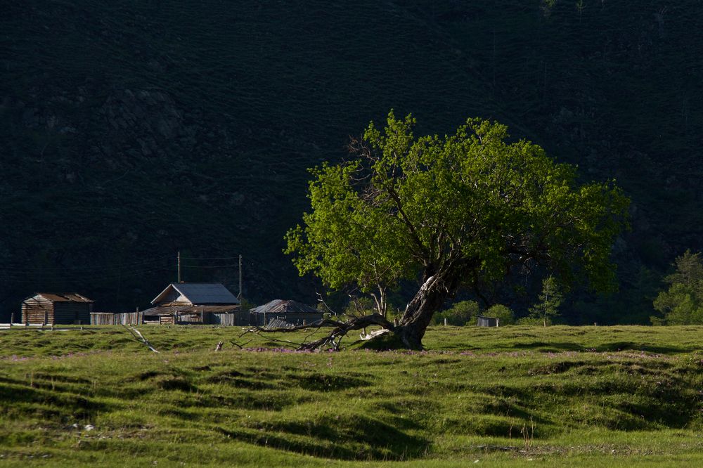 Photograph by Алёна Гильмуллина
