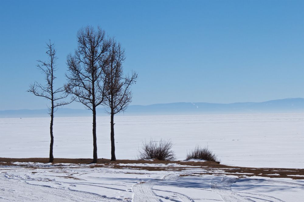 Photograph by Алёна Гильмуллина