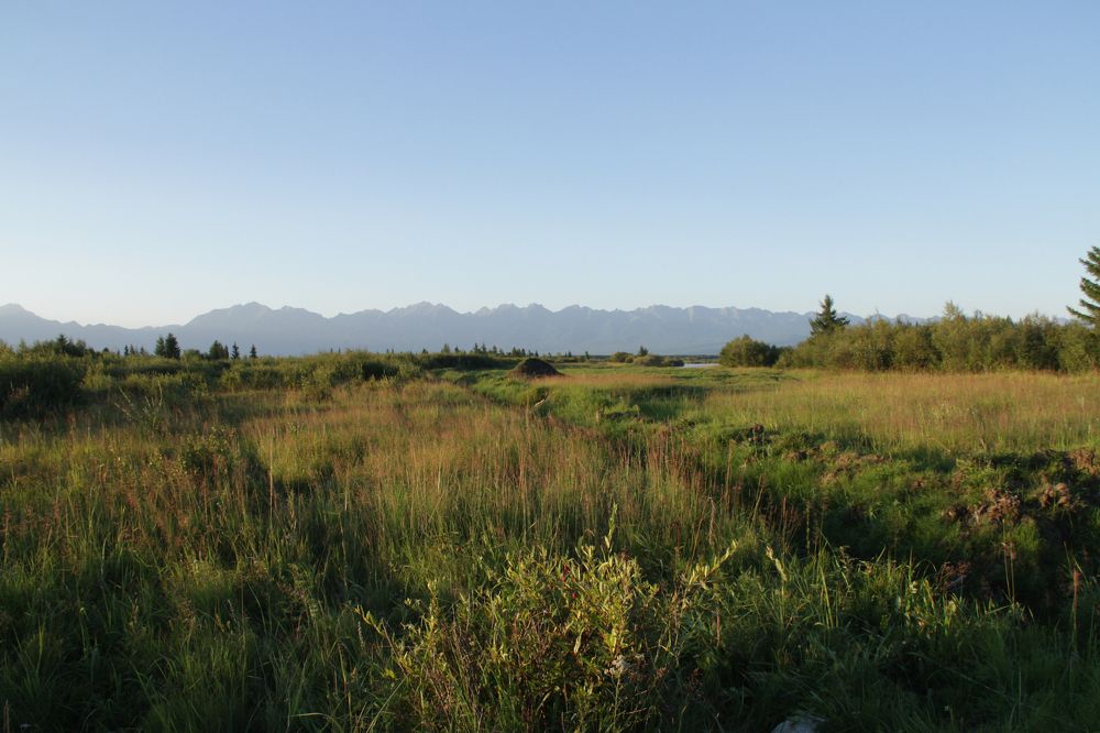 Photograph by Алёна Гильмуллина