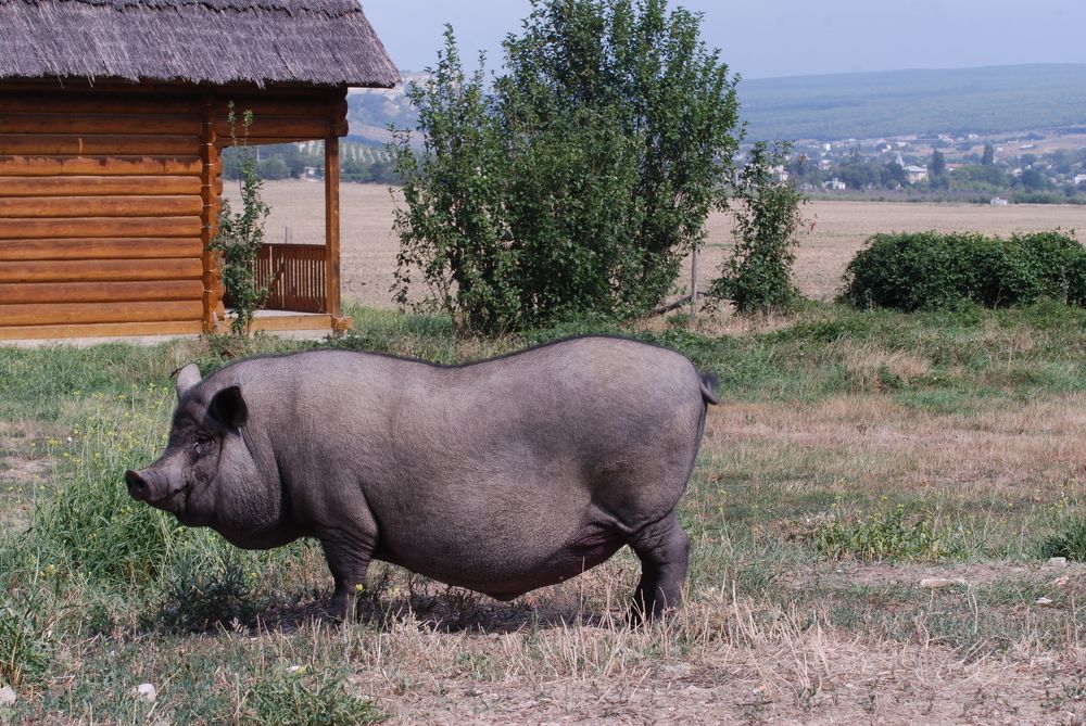 Photograph by Юрий Гаврилов