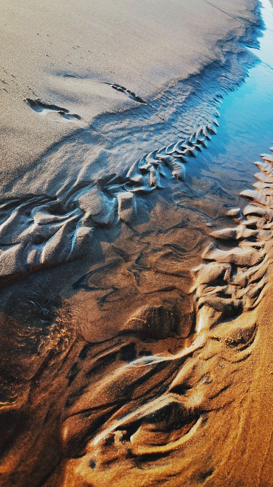 Фотография автора Елена Гордиевская