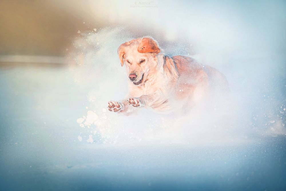 Photograph by София Зайцева