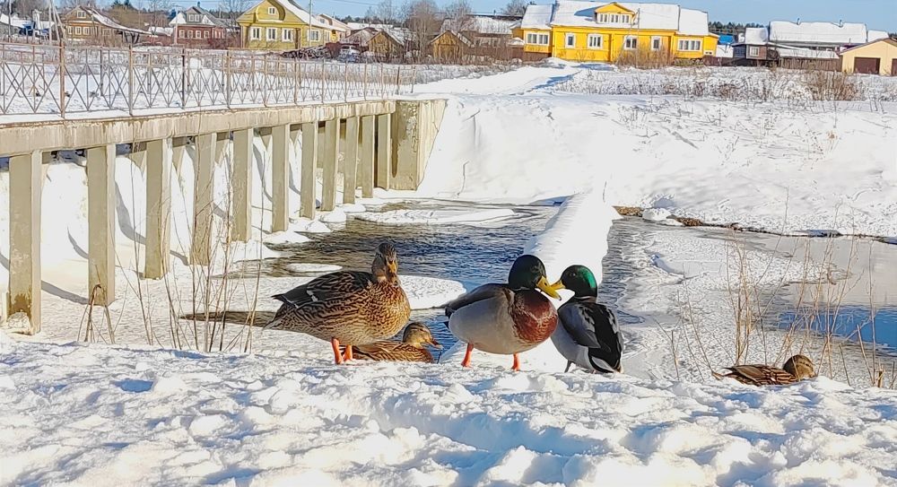 Photograph by Марина Артемьева