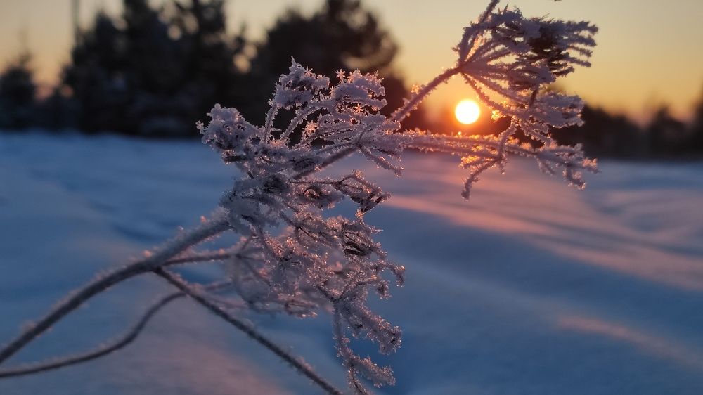 Photograph by Марина Артемьева