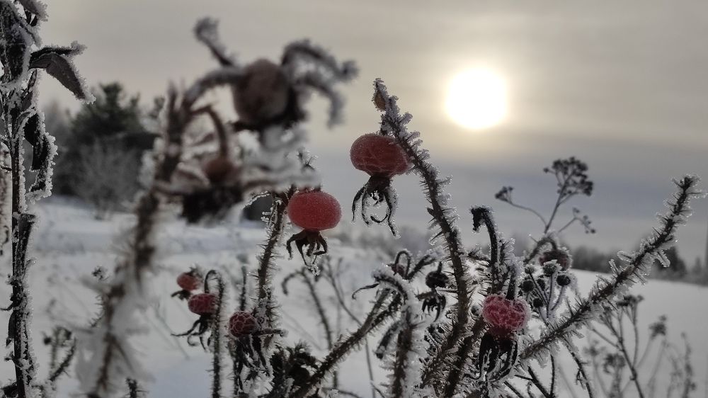 Photograph by Марина Артемьева