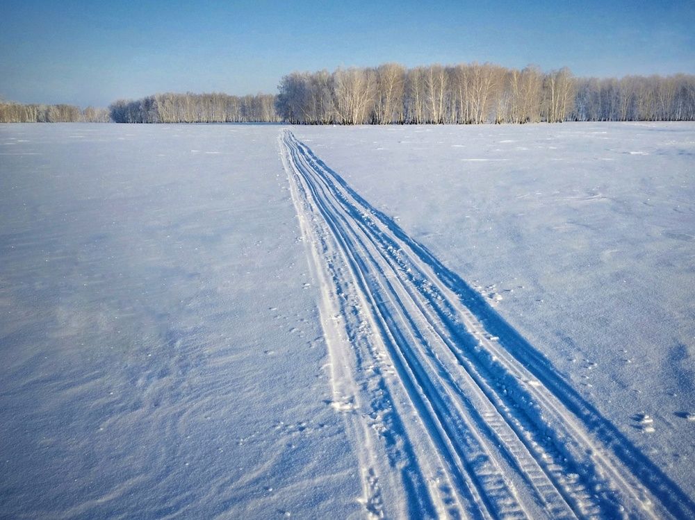 Сибирская природа