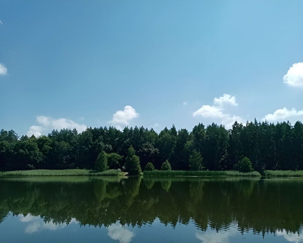 Photograph by Елена Сухорученкова