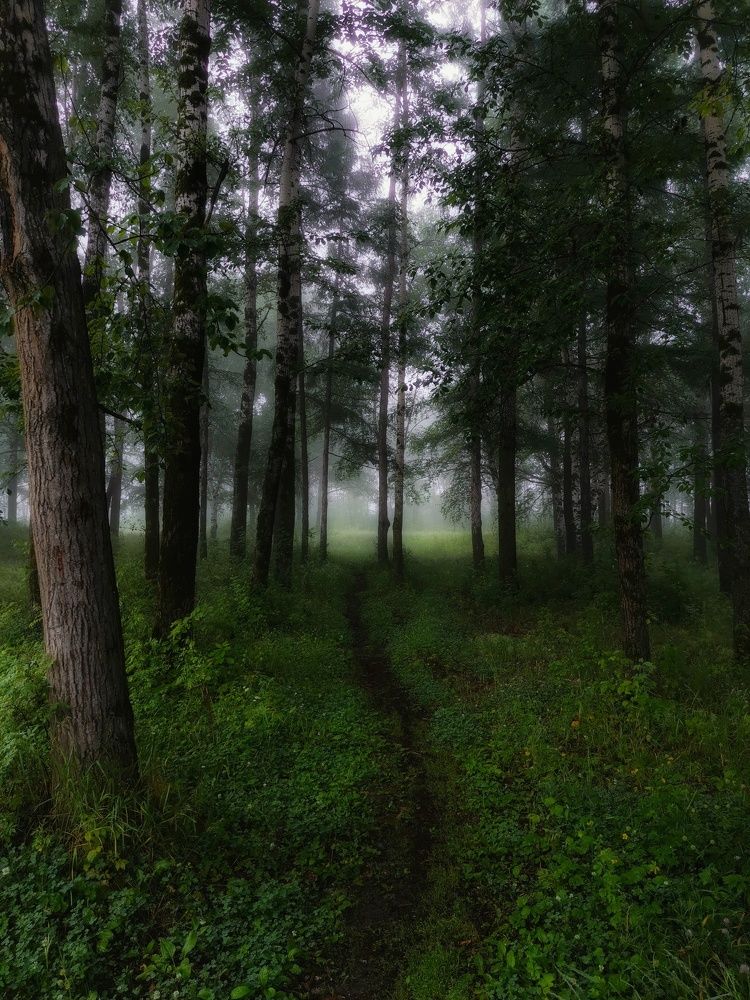 Photograph by Светлана Хамидулина