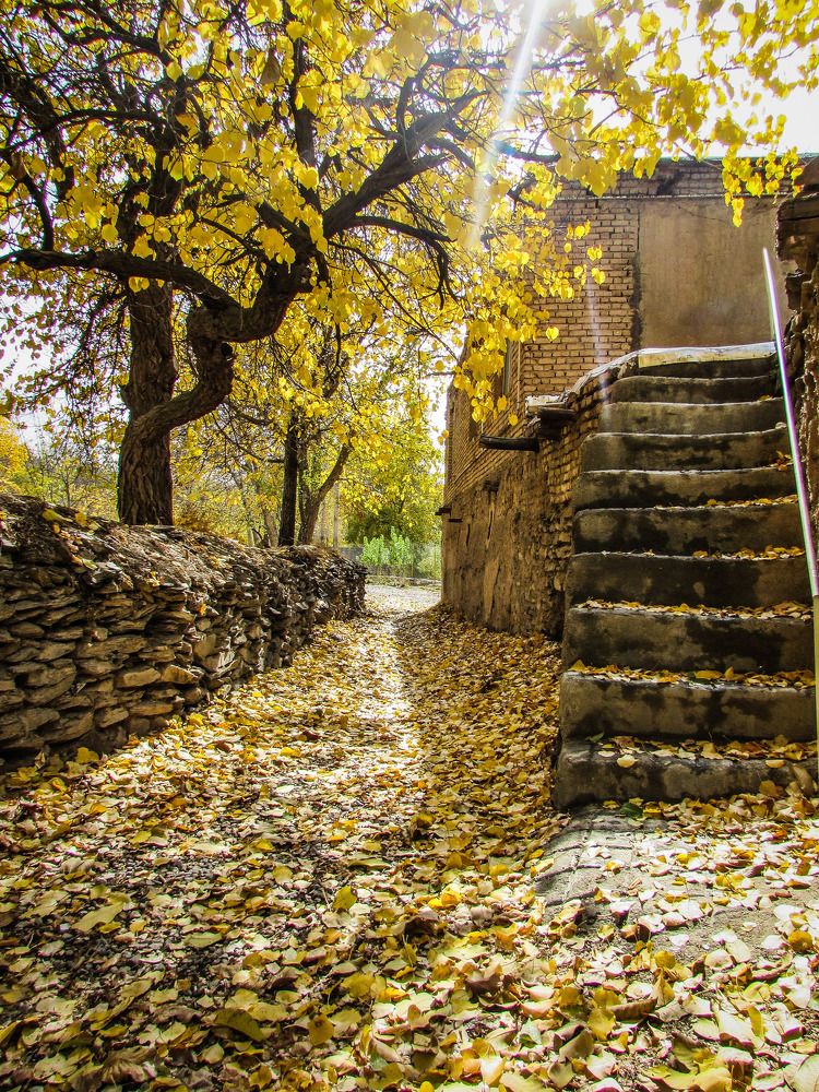 Photograph by Moein Gheysari